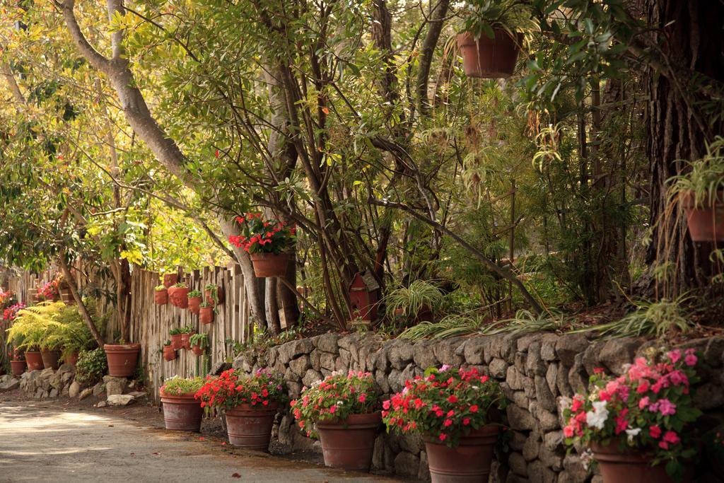 Old Monterey Inn エクステリア 写真