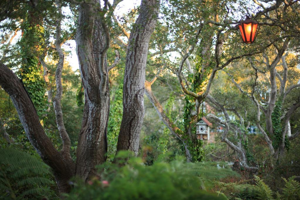Old Monterey Inn エクステリア 写真